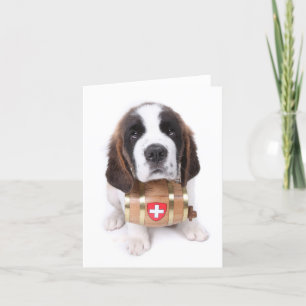 Filhote de cachorro de St Bernard com um cartão d