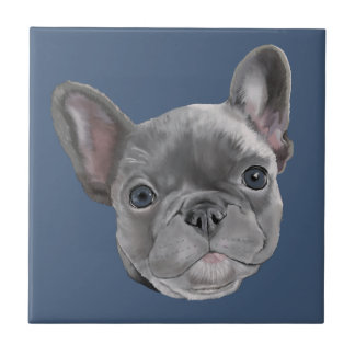 Filhote de cachorro do buldogue francês