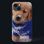 Filhote de cachorro do golden retriever<br><div class="desc">O filhote de cachorro do golden retriever permanece morno na neve. Foto submetida por um leitor do país. O compartimento do país comemora a beleza excitante, pessoas de contrato, resistindo valores e estilo de vida espiritual rewarding do campo americano. Nossos leitores entusiásticos contribuem quase três quartos do índice de cada...</div>