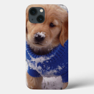 Filhote de cachorro do golden retriever