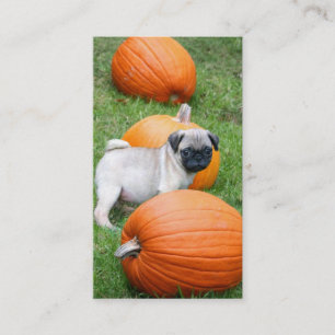 Filhote de cachorro do Pug em cartões de visitas
