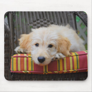 Filhote de cachorro dourado bonito Mousepad do