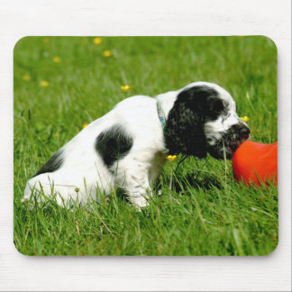 Filhote de cachorro Mousepad de cocker spaniel do