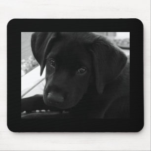 Filhote de cachorro Mousepad de labrador retriever