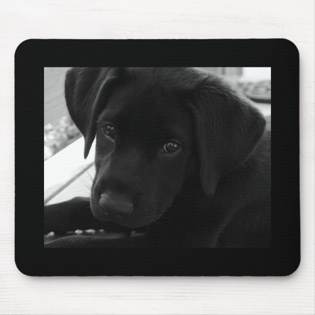 Filhote de cachorro Mousepad de labrador retriever (Frente)