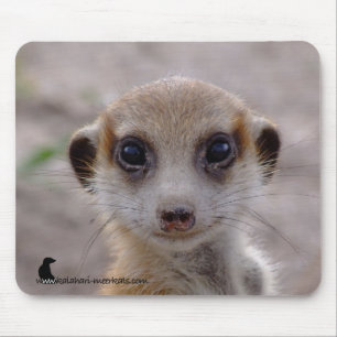 Filhote de cachorro Mousepad de Meerkat