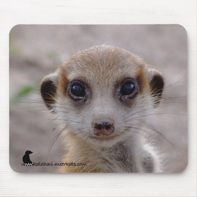 Filhote de cachorro Mousepad de Meerkat (Frente)