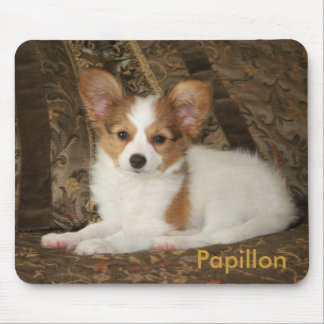 Filhote de cachorro Mousepad de Papillon