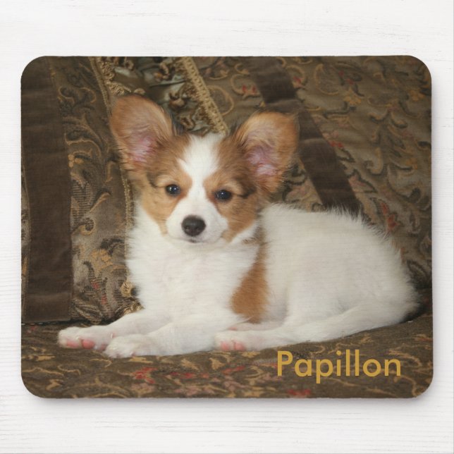 Filhote de cachorro Mousepad de Papillon (Frente)