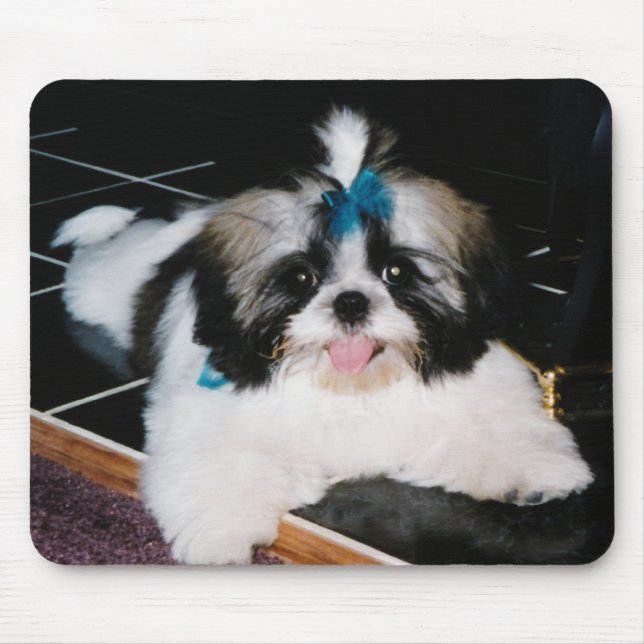 Filhote de cachorro Mousepad de Shih-Tzu (Frente)