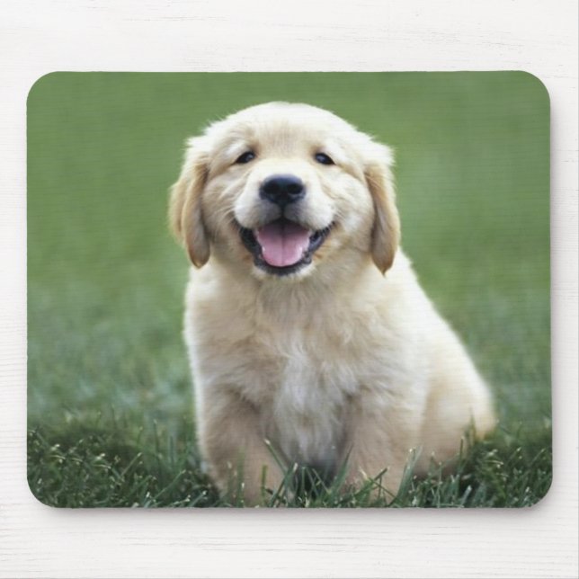 Filhote de cachorro Mousepad do golden retriever (Frente)