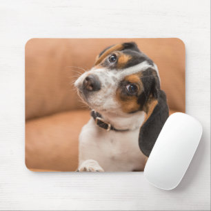 Filhote de cachorro Mousepad do lebreiro