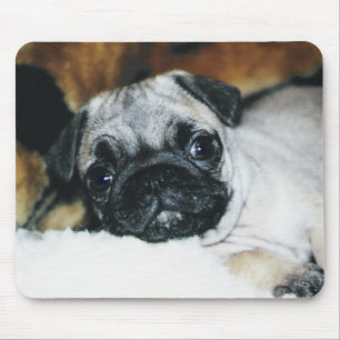 Filhote de cachorro Mousepad do Pug