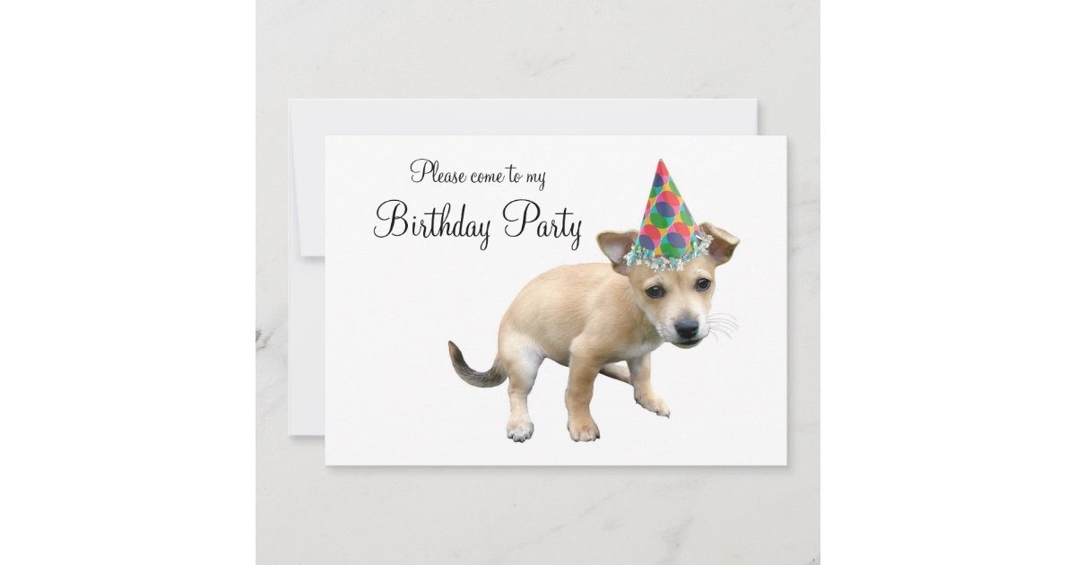 Filhote De Cachorro No Convite Do Aniversario Do Zazzle Com Br Aniversario patrulha canina convite aniversario paw patrol grupo de patrulha das patas convite patrulha canina 15 modelos para editar modelos de convite. filhote de cachorro no convite do aniversario do zazzle com br