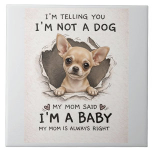 Filhote de chihuahua fofo
