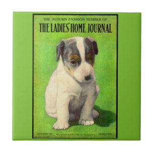 Filhote de cobrir para Diário para senhoras e sen