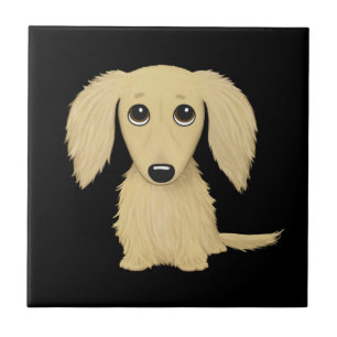 Filhote de Dachshund Longo de Pelo Creme
