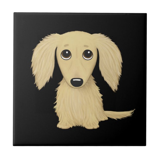 Filhote de Dachshund Longo de Pelo Creme (Frente)