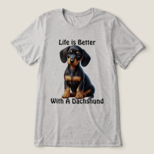 Filhote de Dachshund Sentado e Olhando com Inocênc