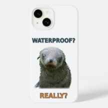 Filhote de foca molhado engraçado