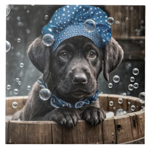 Filhote de Labrador preto fofo no spa de banho de