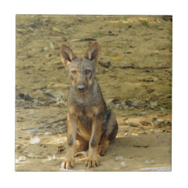 Filhote de Lobo Fofo