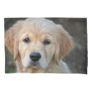Filhote de Retriever Dourado