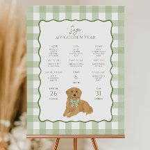 Filhote de Retriever Dourado Aniversário de 1 Ano