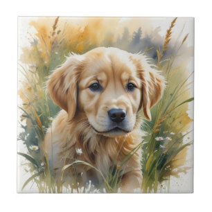Filhote de retriever dourado ao pôr do sol