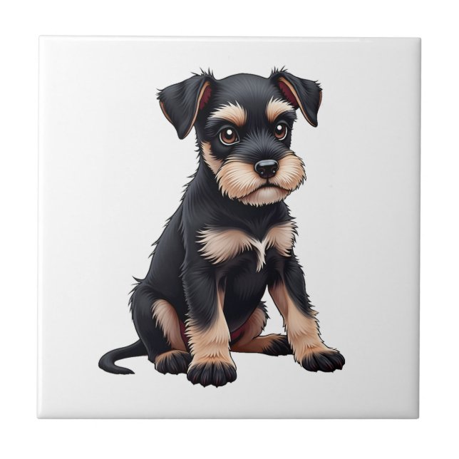 Filhote de Schnauzer Miniatura (3) (Frente)