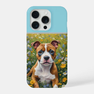 Filhote de Staffordshire Bull Terrier Marrom e Bra