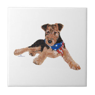 Filhote de Terrier Patriótico