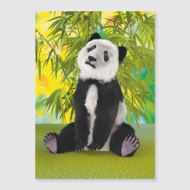 Filhote de Urso Panda (Frente)
