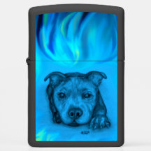 Filhote Staffy Azul
