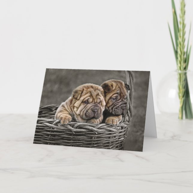 Filhotes de cachorro de Shar-Pei no cartão da (Frente)