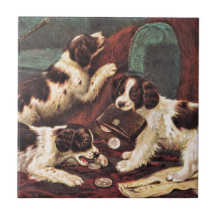 Filhotes de cachorro do setter