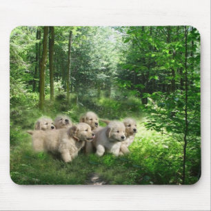 Filhotes de cachorro dourados Mousepad
