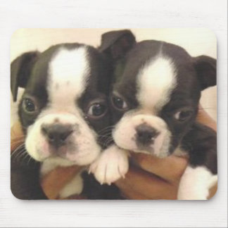 Filhotes de cachorro Mousepad de Boston