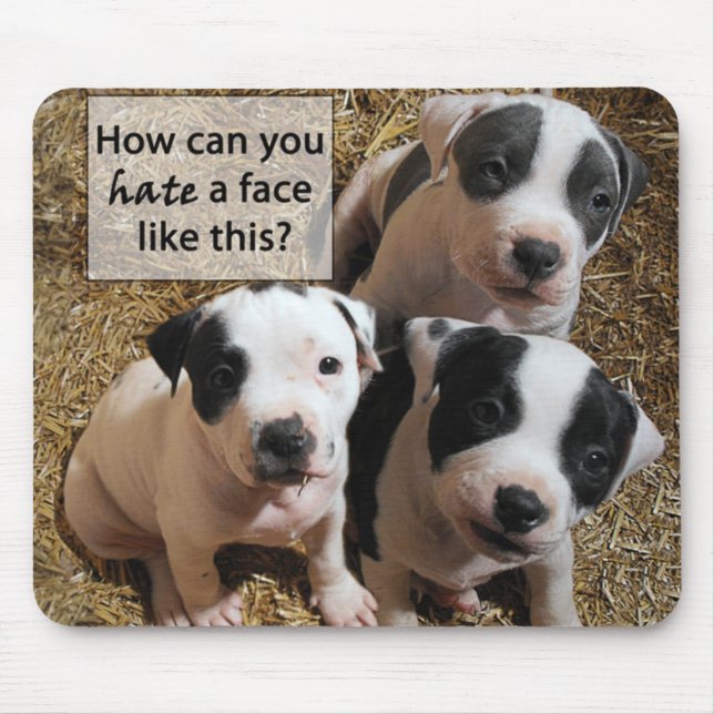Filhotes de cachorro Mousepad de PitBull (Frente)