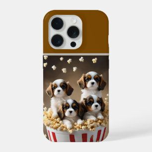 Filhotes de Quádruplos Cavalier Spaniel no Pipoca,