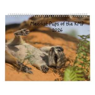 Filhotes de Suricata do Calendário KMP 2026