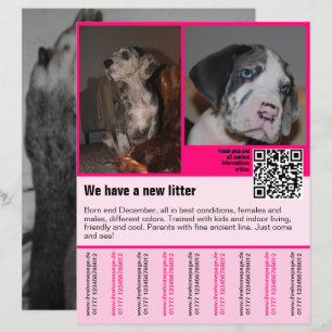 filhotes para venda folheto modelo com código QR