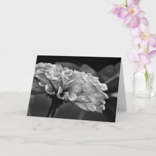 Filigree Fotografia da Natureza em Cartão em Bra