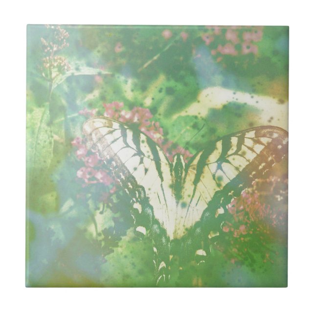 filme vencido (Frente)