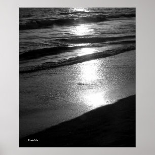 Fim do dia em Dog Beach B/W Poster