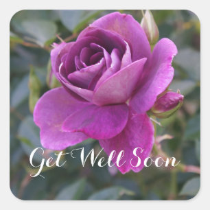 Fique Bem Em Breve Burgundy Iceberg 2 Adesivos