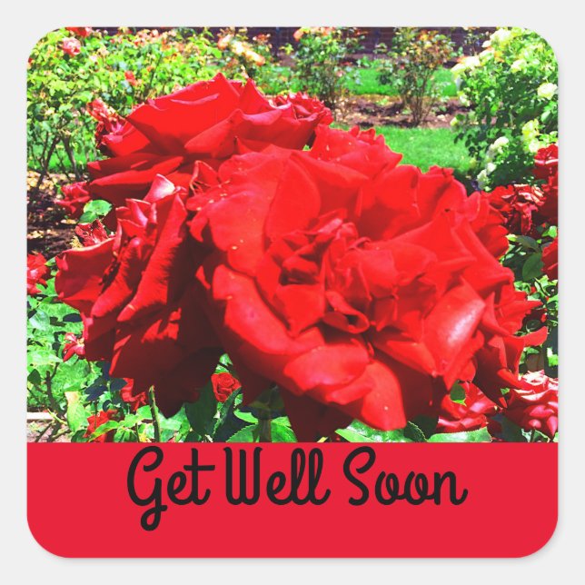 Fique bem logo com os adesivos nº 1 da Rosa vermel (Frente)