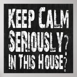 Fique Calmo, Sério? Pôster