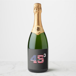 Fique com 45 Pro Trump USA Flag 4 de 4 de julho