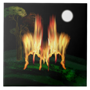 Fire Fly